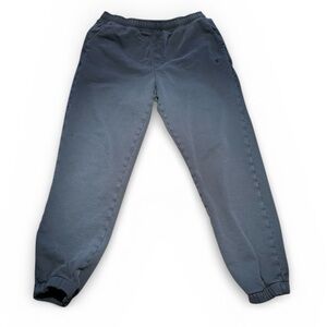 Everlane Jogger’s - size Large in teal blue